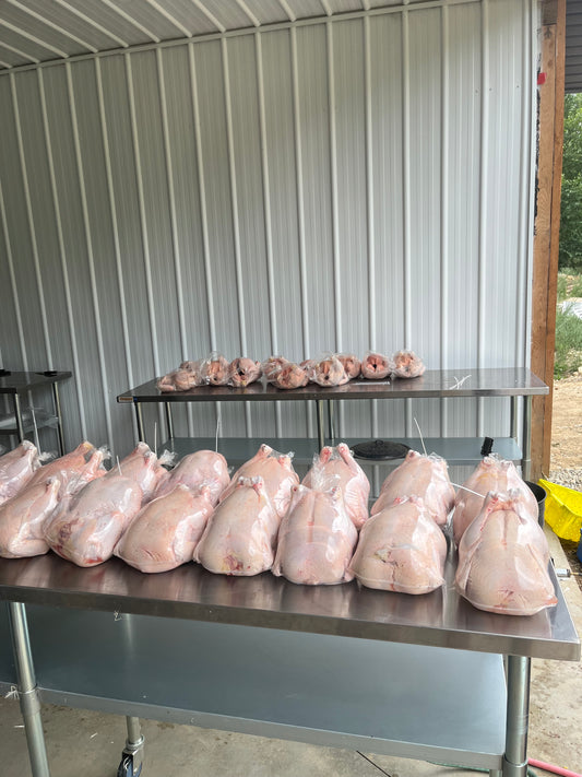 Pasture Raised Whole Chicken